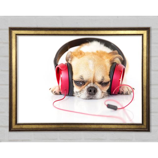 Dog Listening To Music Relaxing Framed Print Happy Larry Size: 21cm H x 29.7cm W x 1.5cm D on Productcaster.