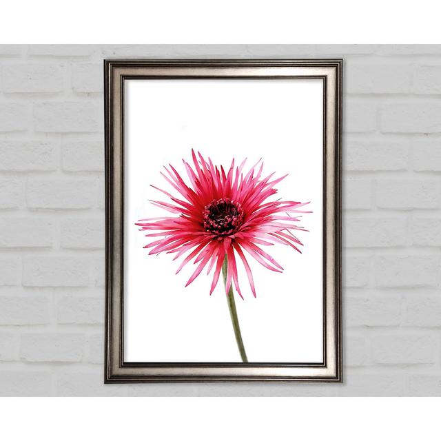 Pink Feather Flower - Single Picture Frame Art Prints Brayden Studio Size: 84.1cm H x 59.7cm W x 1.5cm D on Productcaster.