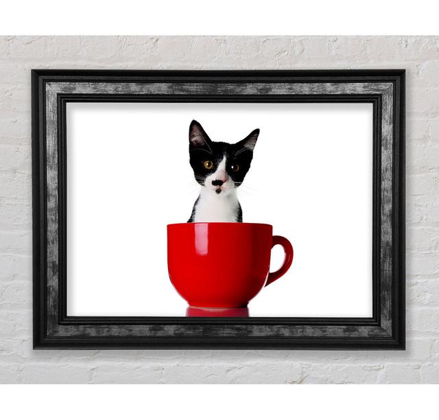 Cat In A Tea Cup - Single Picture Frame Art Prints Bright Star Size: 42cm H x 59.7cm W x 8cm D on Productcaster.