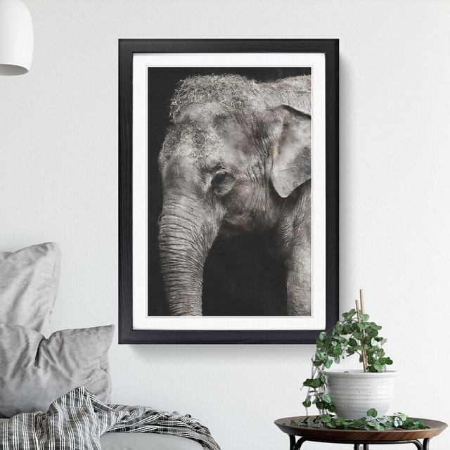 Elephant Vol.3 - Picture Frame Graphic Art East Urban Home Frame Option: Black Framed, Size: 65cm H x 48cm W x 2cm D on Productcaster.