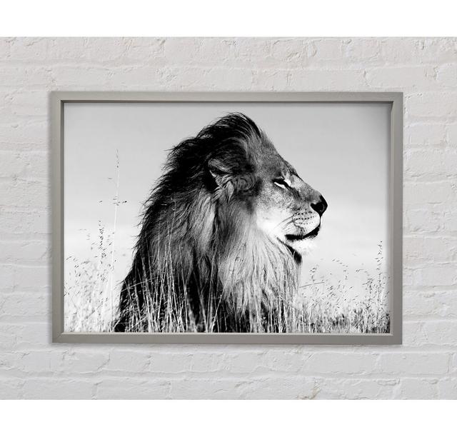 Lion On Watch Black N White - Single Picture Frame Art Prints on Canvas Bright Star Size: 84.1cm H x 118.9cm W x 3.3cm D on Productcaster.