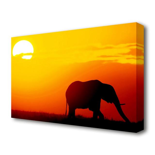 'Golden Elephant Wildlife' Photographic Print on Canvas East Urban Home Size: 35.6 cm H x 50.8 cm W on Productcaster.