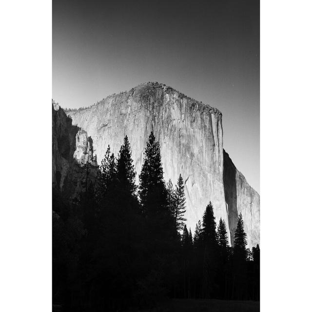 El Capitan In Trees by Bradford Smith - Wrapped Canvas Print Blue Elephant Size: 46cm H x 30cm W on Productcaster.