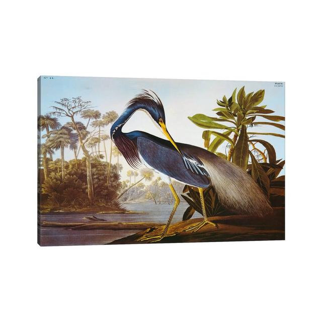 Louisiana Heron from Birds of America by John Audubon - Painting Print on Canvas Bloomsbury Market Frame Option: No Frame, Size: 66.04cm H x 101.6cm W on Productcaster.