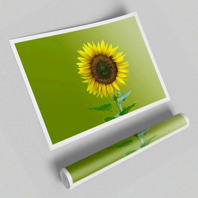 Single Sunflower Flowers Print Poster - Graphic Art Print on Paper East Urban Home Size: 100 cm H x 141.4 cm W on Productcaster.