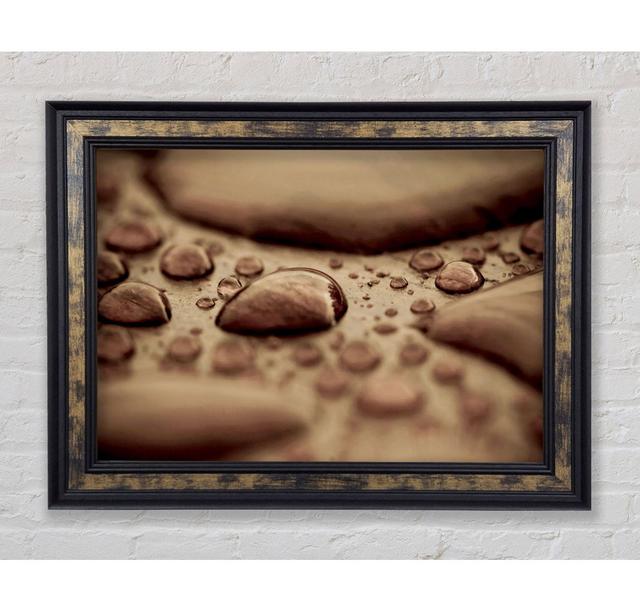 Chocolate Raindrop - Print Bright Star Size: 59.7cm H x 84.1cm W on Productcaster.