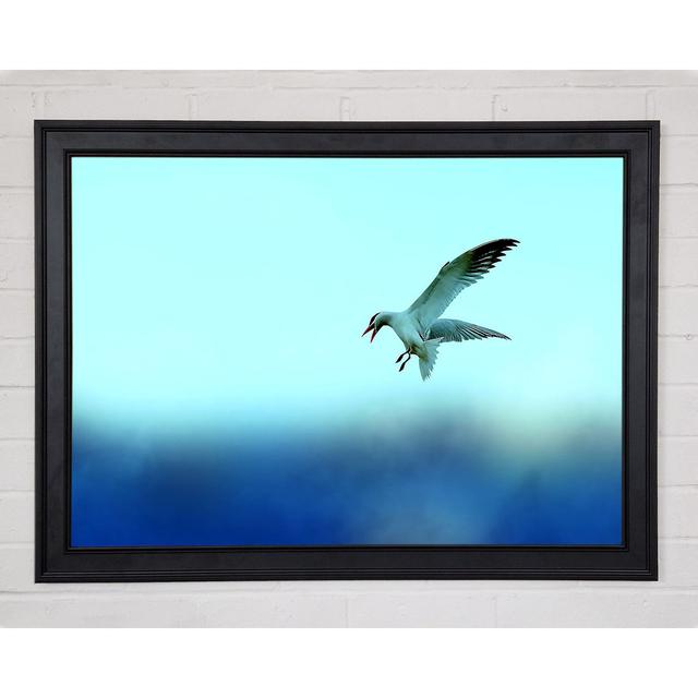 Möwe Gerahmter Druck Haus am Meer Größe: 42" H x 59.7" B x 1.5" T on Productcaster.