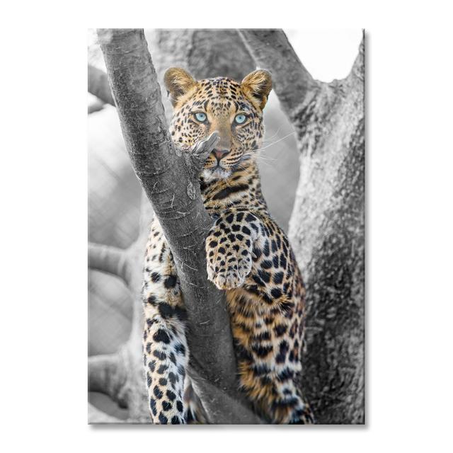 Glasbild Majestätischer Leopard auf Baum Brayden Studio Größe: 100 cm H x 70 cm B x 0,4 cm T on Productcaster.