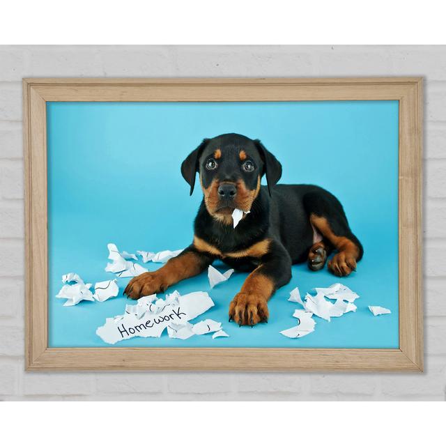 Naughty Rottweiler Puppy Dog Framed Print Ophelia & Co. Size: 29.7cm H x 42cm W x 1.5cm D on Productcaster.