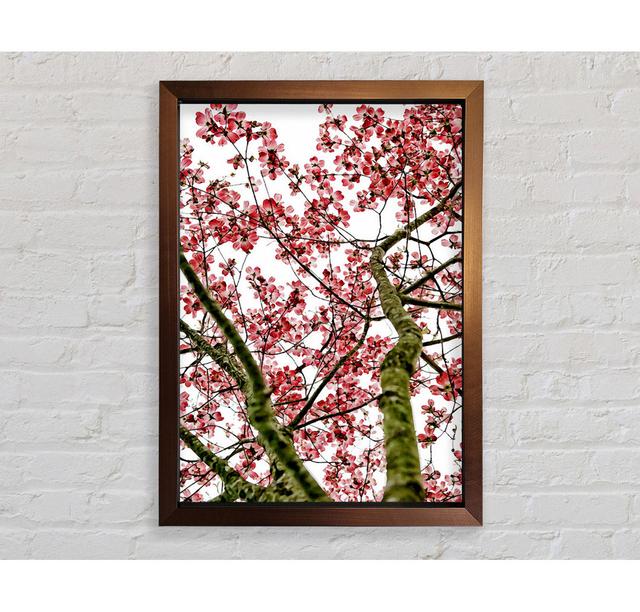 Pink Cherry Blossom Tree - Print Bright Star Size: 84.1cm H x 59.7cm W x 3.4cm D on Productcaster.