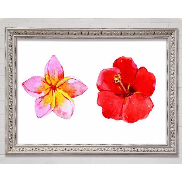 Amaryllis Beauty Framed Print 17 Stories Size: 21cm H x 29.7cm W on Productcaster.