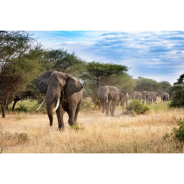 Elephants In Line by Dennis Stogsdill - Wrapped Canvas Print Latitude Run Size: 61cm H x 91cm W on Productcaster.