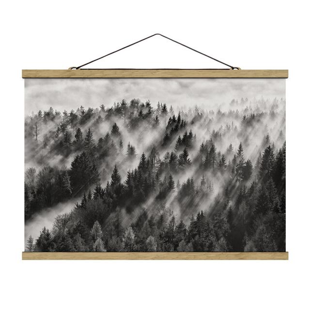 Light Rays in the Coniferous Forest - Graphic Art Print Union Rustic Size: 53.5cm H x 80cm W x 0.3cm D on Productcaster.