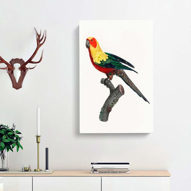 A Sun Parakeet by F. Levaillant - Wrapped Canvas Painting Print East Urban Home Size: 50cm H x 35cm W x 3cm D on Productcaster.