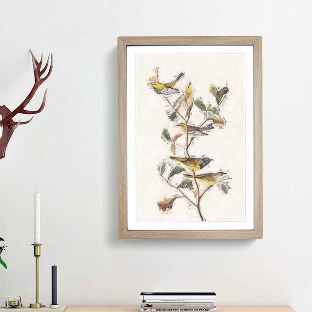 Black-Throated Green Warbler by John James Audubon - Picture Frame Painting Print East Urban Home Frame Option: Oak Framed, Size: 36cm H x 27cm W x 2c on Productcaster.