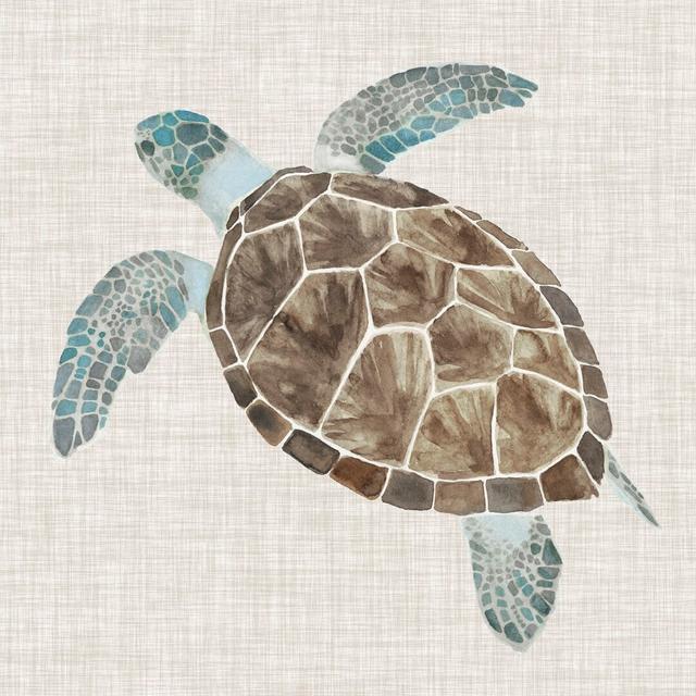 Sea Turtle II by Naomi McCavitt - Wrapped Canvas Painting Bay Isle Home Size: 51cm H x 51cm W x 3.8cm D on Productcaster.