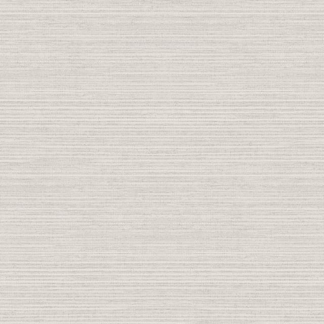 Wynnewood Grasscloth Texture Effect 10m X 53cm Wallpaper Roll House of Hampton Colour: Silver on Productcaster.