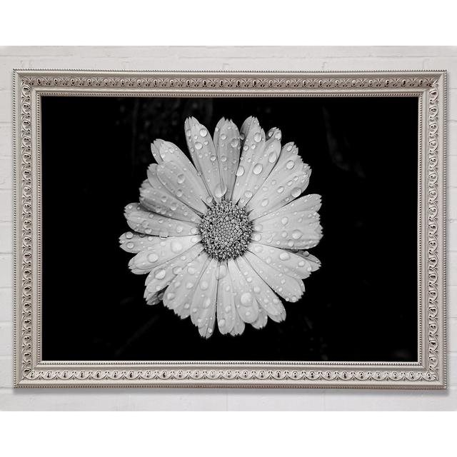 Single Picture Frame Art Prints Ebern Designs Size: 42cm H x 59.7cm W on Productcaster.