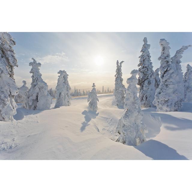 Extreme Winter Landscape - Wrapped Canvas Art Prints Alpen Home Size: 30cm H x 46cm W x 3.8cm D on Productcaster.