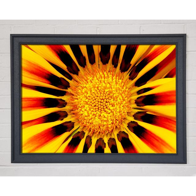 The Centre of the Sun - Single Picture Frame Art Prints Ebern Designs Size: 59.7cm H x 84.1cm W on Productcaster.