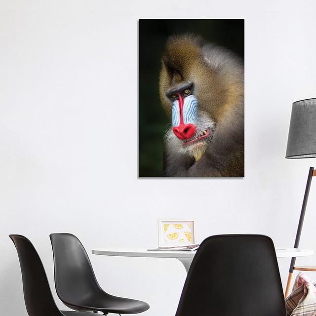 Mandrill Growl by Mogens Trolle - Wrapped Canvas Print Latitude Run Size: 101.6cm H x 66.04cm W x 3.81cm D on Productcaster.