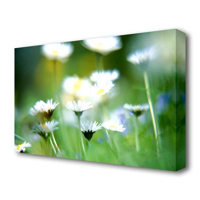 Blurry Daisies Flowers Canvas Print Wall Art East Urban Home Size: 50.8 cm H x 81.3 cm W on Productcaster.