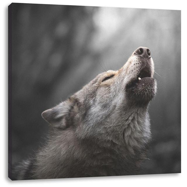 Leinwandbild Heulender Wolf Nahaufnahme Alpen Home Größe: 70 cm H x 70 cm B x 1,8 cm T on Productcaster.