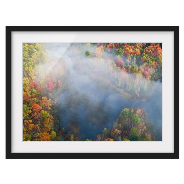 Aerial View - Autumn Symphony - Picture Frame Photograph Union Rustic Size: 50cm H x 70cm W x 2cm D, Frame Option: Black Framed on Productcaster.