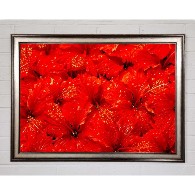 An Ocean Of Red Leaves - Single Picture Frame Art Prints Bay Isle Home Size: 21cm H x 29.7cm W x 1.5cm D on Productcaster.