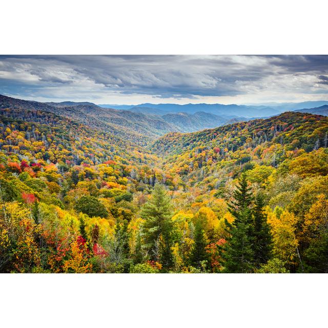 Smoky Mountains National Park - Wrapped Canvas Photograph Union Rustic Size: 61cm H x 91cm W on Productcaster.