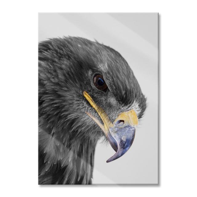 Beautiful Eagle Portrait - No Frame Print on Glass Union Rustic Size: 80cm H x 60cm W x 0.4cm D on Productcaster.