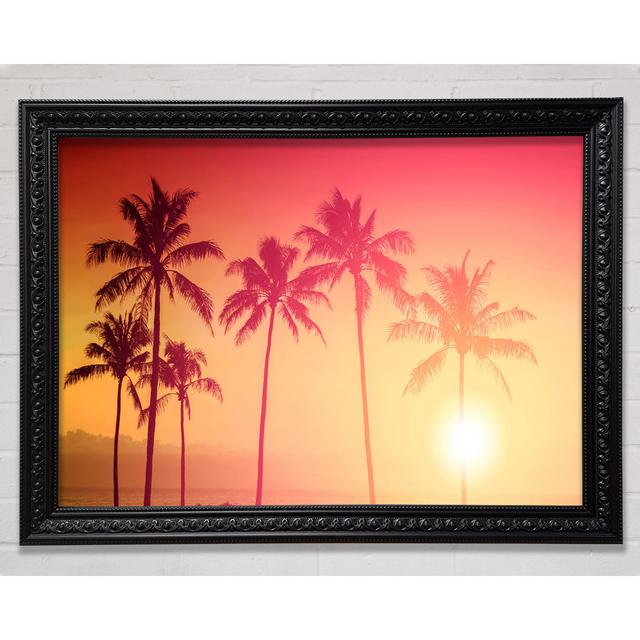 Palm Tree Haze Framed Print Bright Star Size: 29.7cm H x 42cm W on Productcaster.