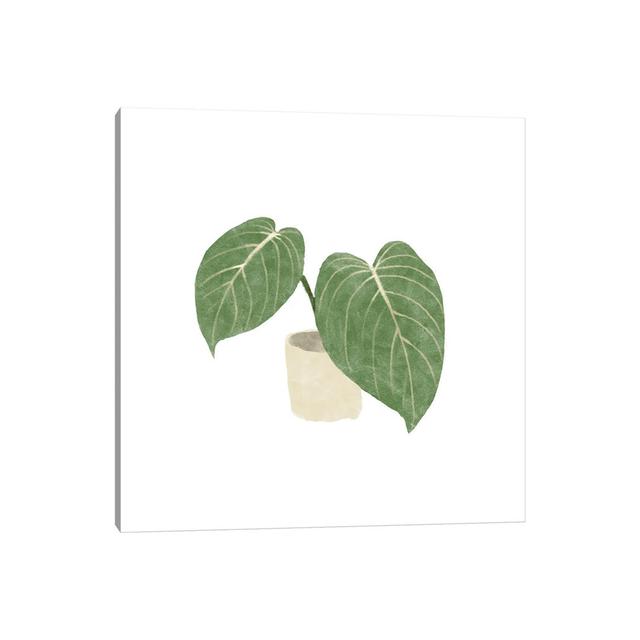 Philodendron Gloriosum III by Bannarot - Wrapped Canvas Graphic Art Bay Isle Home Size: 93.98cm H x 93.98cm W x 3.81cm D on Productcaster.