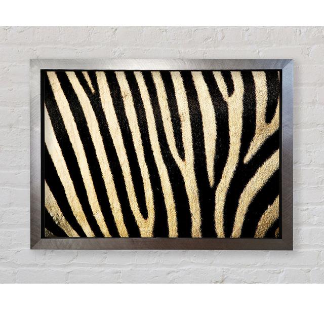 Zebra Pattern - Single Picture Frame Art Prints Fairmont Park Size: 42cm H x 59.7cm W on Productcaster.