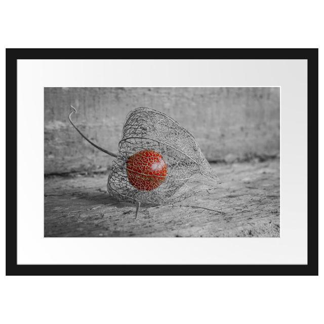 Gerahmtes Poster Leckere Physalis in Schale East Urban Home Größe: 40 cm H x 55 cm B on Productcaster.