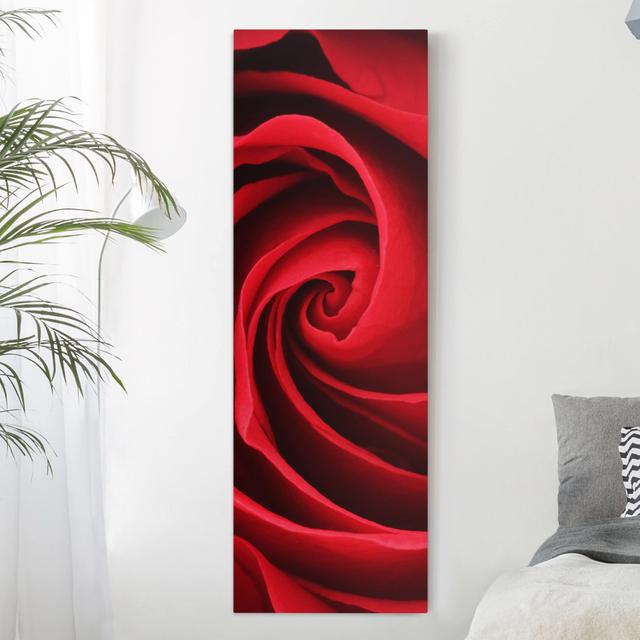 Red Rose Blossom Photographic Print on Canvas East Urban Home Size: 150cm H x 50cm W x 2cm D on Productcaster.