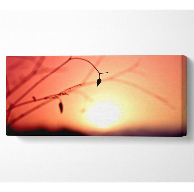 Sun Haze - Wrapped Canvas Art Prints Ebern Designs Size: 50.8cm H x 121.9cm W x 10cm D on Productcaster.