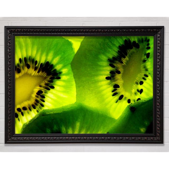 Kiwi Close-Up - Single Picture Frame Art Prints Bright Star Size: 84.1cm H x 118.9cm W x 3cm D on Productcaster.