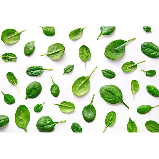 Spinach Pattern by Virtustudio - Wrapped Canvas Photograph Marlow Home Co. Size: 81cm H x 122cm W on Productcaster.