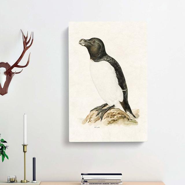 Razorbill by Von Wright - Wrapped Canvas Painting Pint East Urban Home Size: 76cm H x 50cm W x 3cm D on Productcaster.