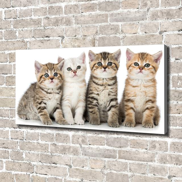 Small Cats - Wrapped Canvas Art Prints Ebern Designs on Productcaster.