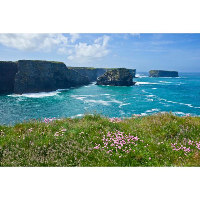 Kilkee coastline in spring House of Hampton Size: 30cm H x 46cm W x 3.8cm D on Productcaster.