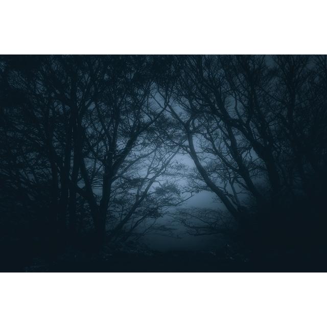 Scary Forest At Night by Mimadeo - Wrapped Canvas Print Alpen Home Size: 51cm H x 76cm W x 3.8cm D on Productcaster.