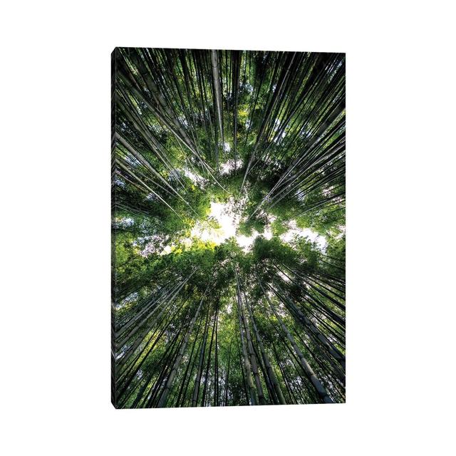 Bamboo Forest III by Philippe Hugonnard - Wrapped Canvas Photograph Alpen Home Size: 45.72cm H x 30.48cm W x 1.91cm D on Productcaster.