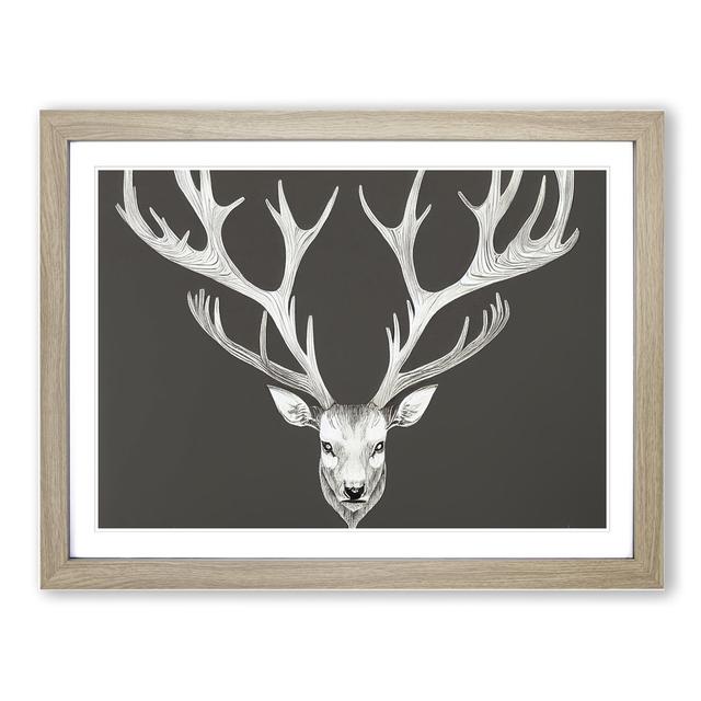 Incomparable Stag Deer - Picture Frame Graphic Art Alpen Home Frame Colour: Oak, Size: 25cm H x 34cm W x 2cm D on Productcaster.