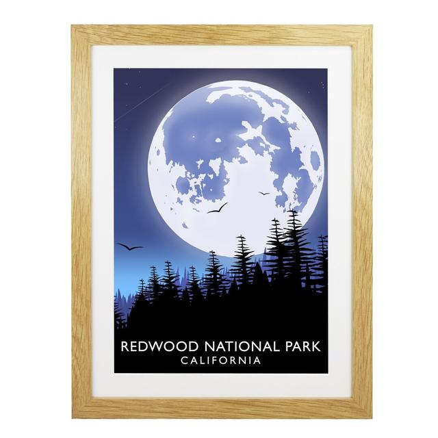 Redwood National Park by Richard O'Neil - Graphic Art Print on Paper East Urban Home Format: Oak Wood Frame, Size: 43.5 cm H x 33.5 cm W x 2.2 cm D on Productcaster.