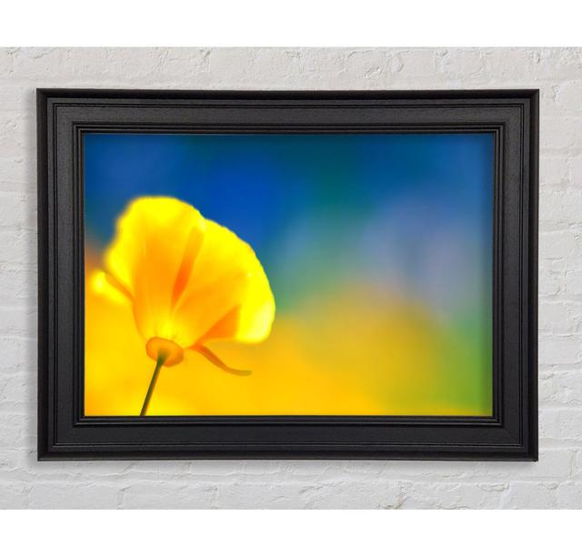 California Poppy Yellow - Single Picture Frame Art Prints Brayden Studio Size: 21cm H x 42cm W x 8cm D on Productcaster.