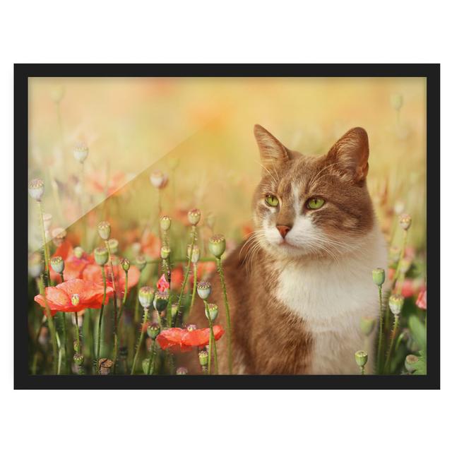 Cat in Poppy Field - Picture Frame Graphic Art Rosalind Wheeler Size: 70cm H x 100cm W x 2cm D, Frame Option: Black Framed on Productcaster.