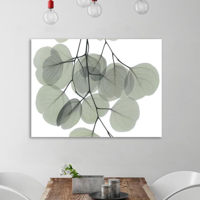 Descending Eucalyptus 5 - Wrapped Canvas Print East Urban Home Size: 61cm H x 81cm W on Productcaster.