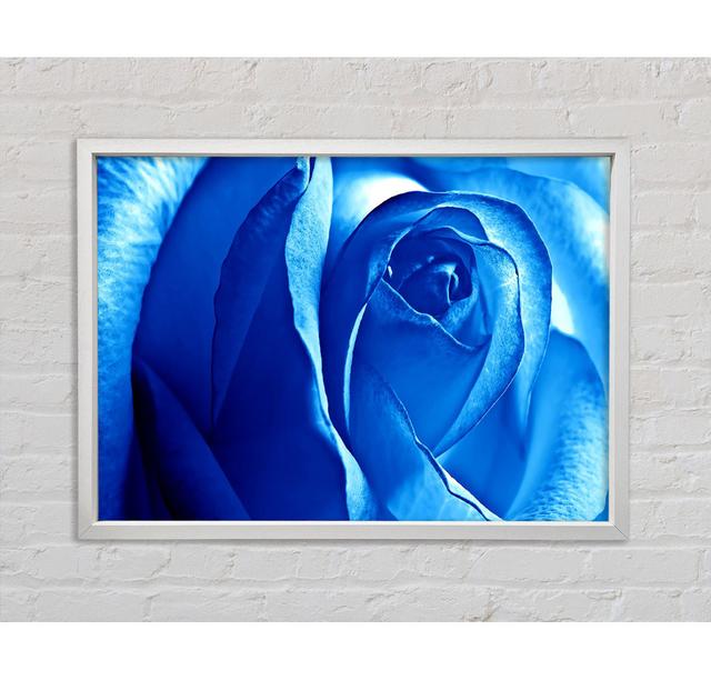 Blaue Rose - Druck Bright Star Größe: 100 cm H x 141,4 cm B on Productcaster.